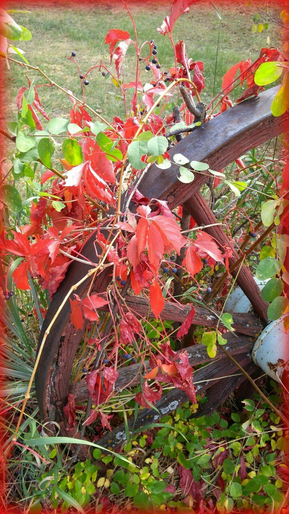 Adobe Inn At Cascade 外观 照片
